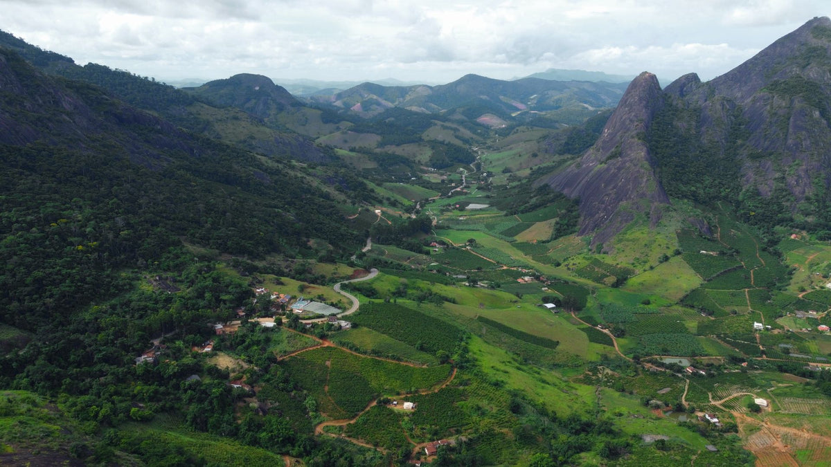 Grüne Berglandschaft mit Kaffeeplantagen in Brasilien – eine der Herkunftsregionen für ausgewählte Kaffees von Lena & Louise Coffees.