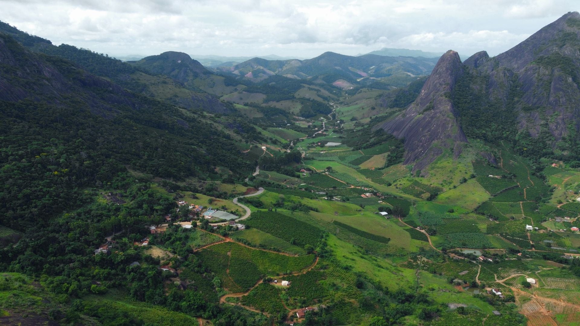 Grüne Berglandschaft mit Kaffeeplantagen in Brasilien – eine der Herkunftsregionen für ausgewählte Kaffees von Lena & Louise Coffees.